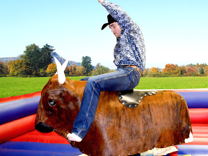 Mechanical Bull
